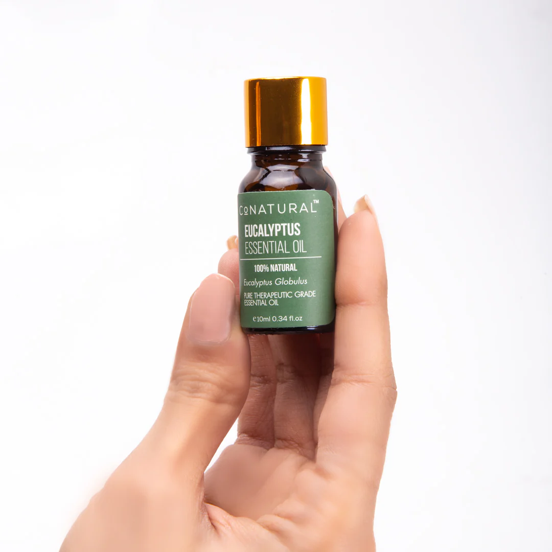 Eucalyptus Essential Oil - Clearance Sale Flat 50% OFF - Image 3